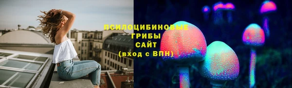 ГАЛЛЮЦИНОГЕННЫЕ ГРИБЫ Абаза