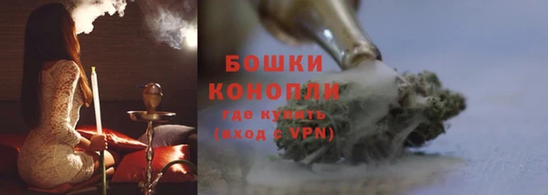 твердый Дмитровск